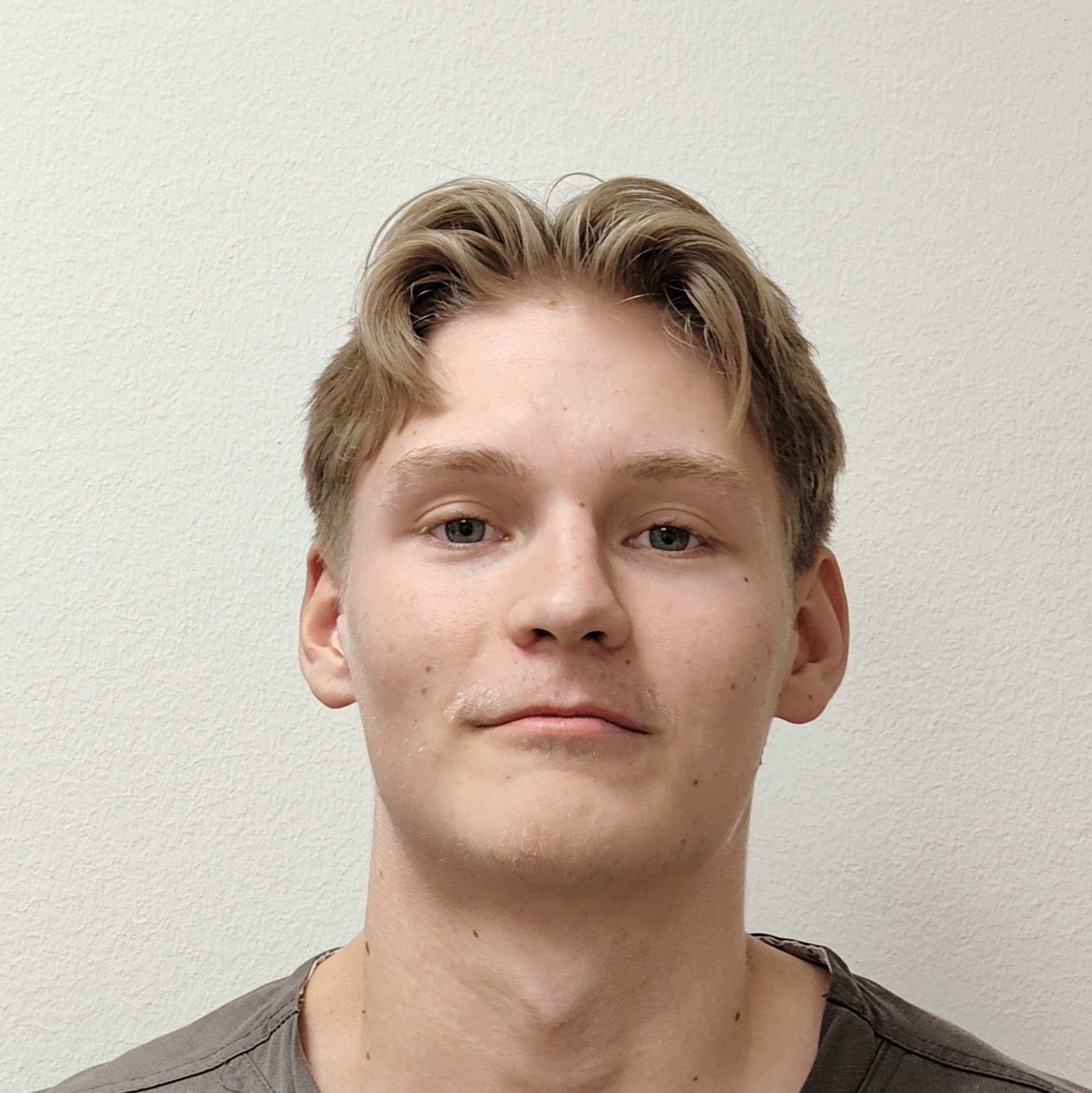 Aamos Nikula  — Pihlajalinna