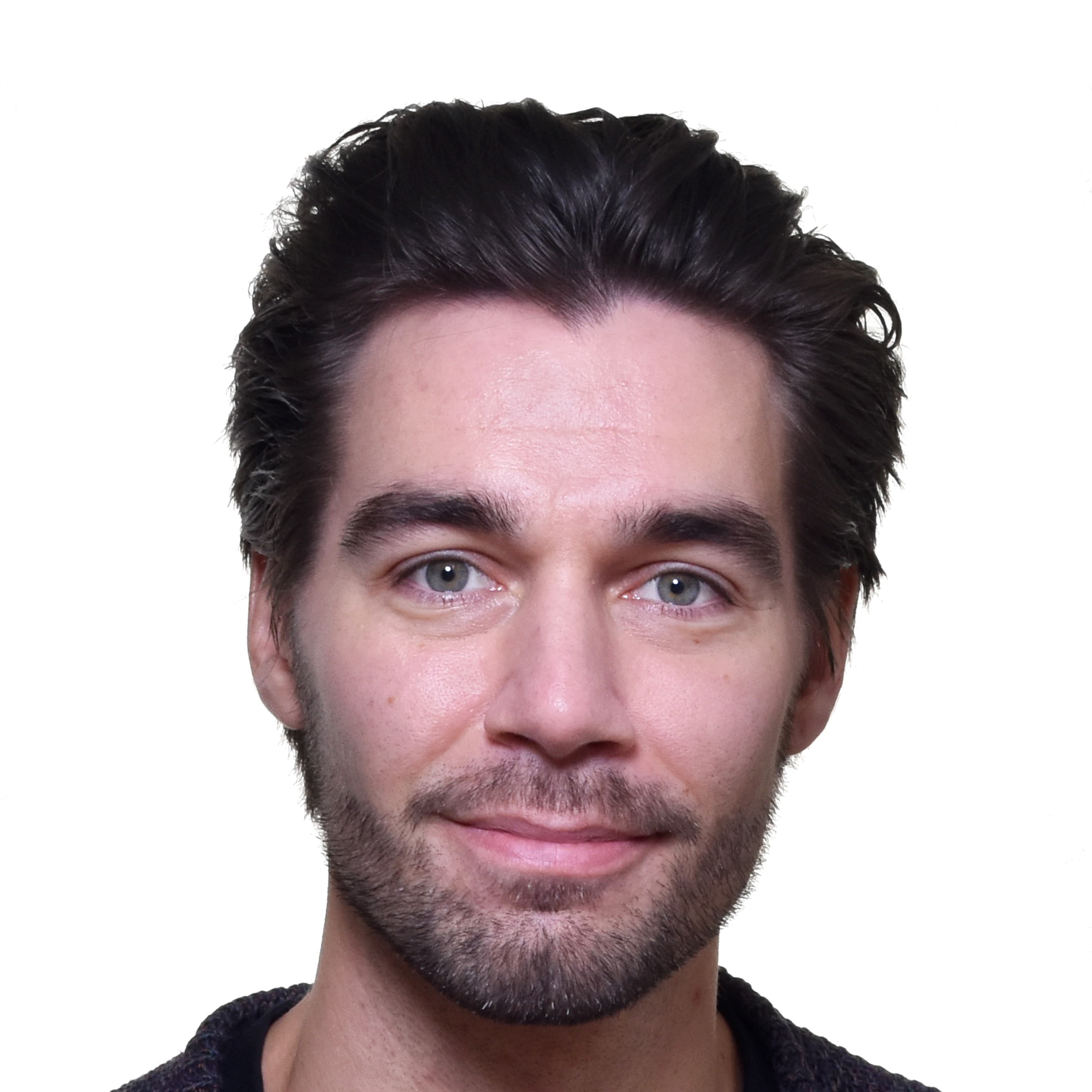 Ville Varho  — Pihlajalinna