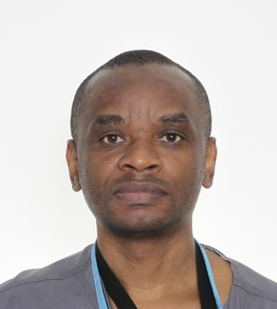 Butoto Kazera — Pihlajalinna