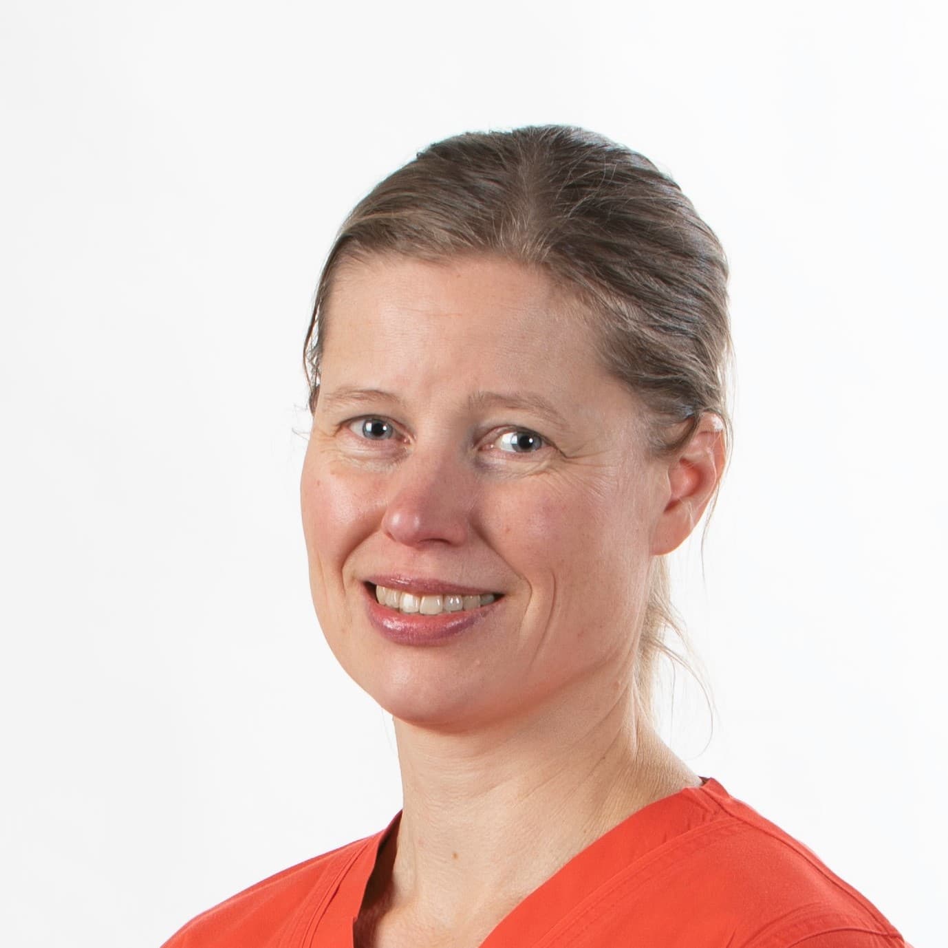 Pilvi Rauhala — Pihlajalinna