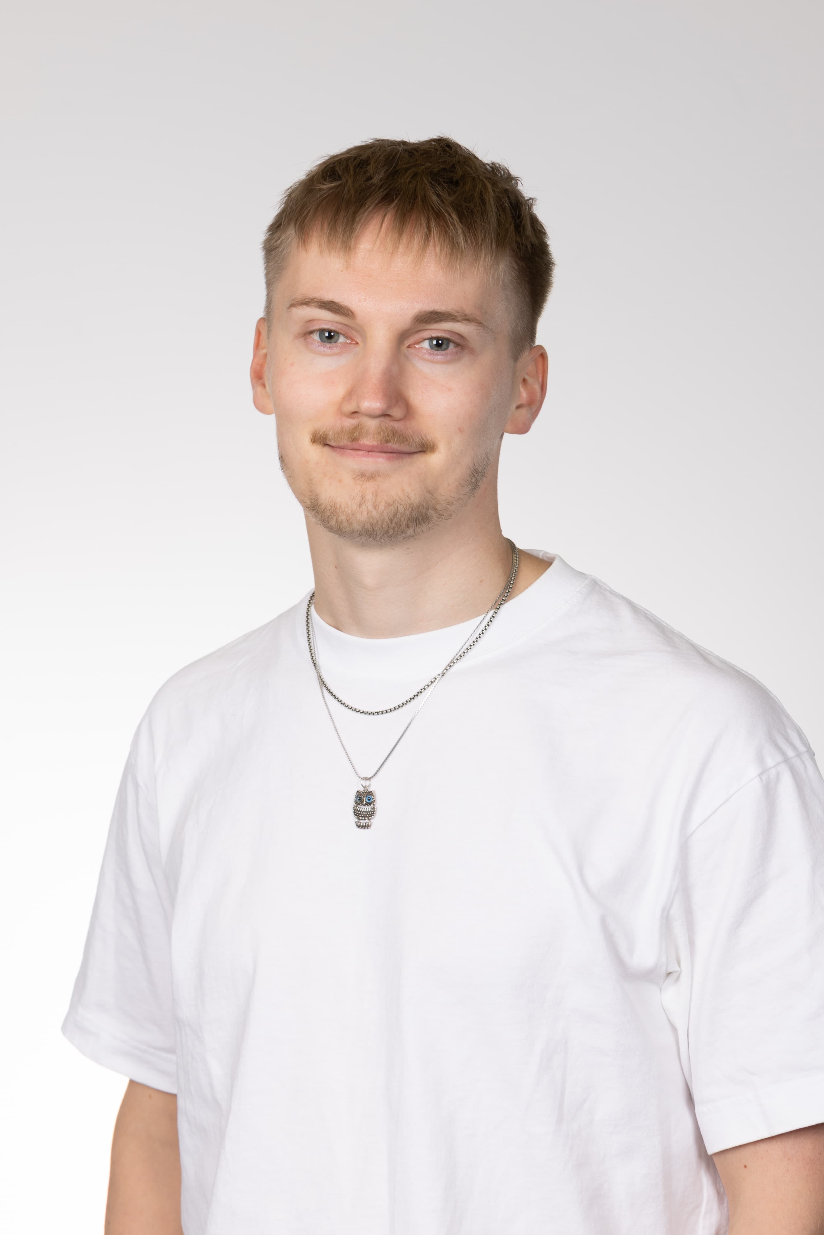 Paulus Inkeroinen — Pihlajalinna